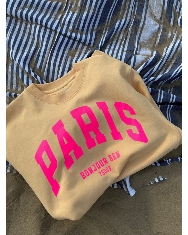 Paris Sweatshirt - Ananas / neon pink