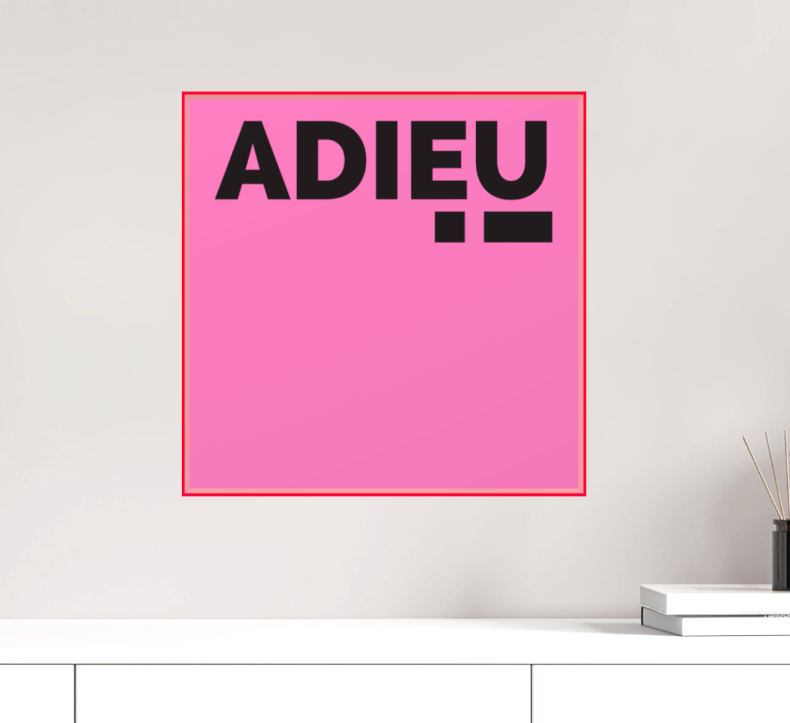 ADIEU! print in plexiglass frame 41,4 cm x 41,4cm